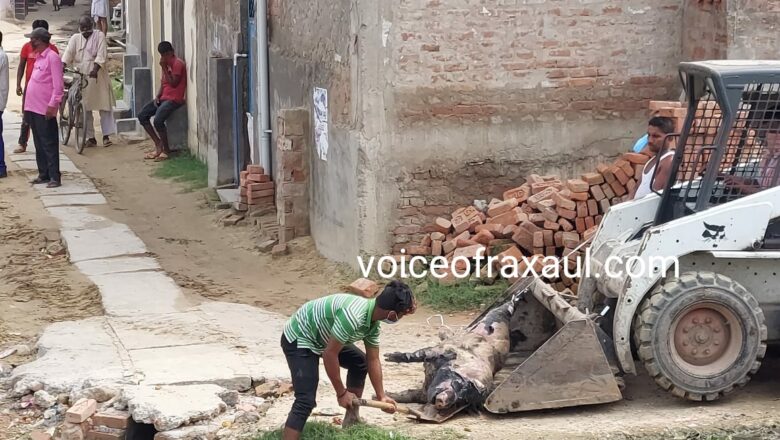 अज्ञात बीमारी के कारण सुअरों की मरने पर रक्सौल चेम्बर ऑफ कॉमर्स ने जताई चिंता,सौंपा ज्ञापन