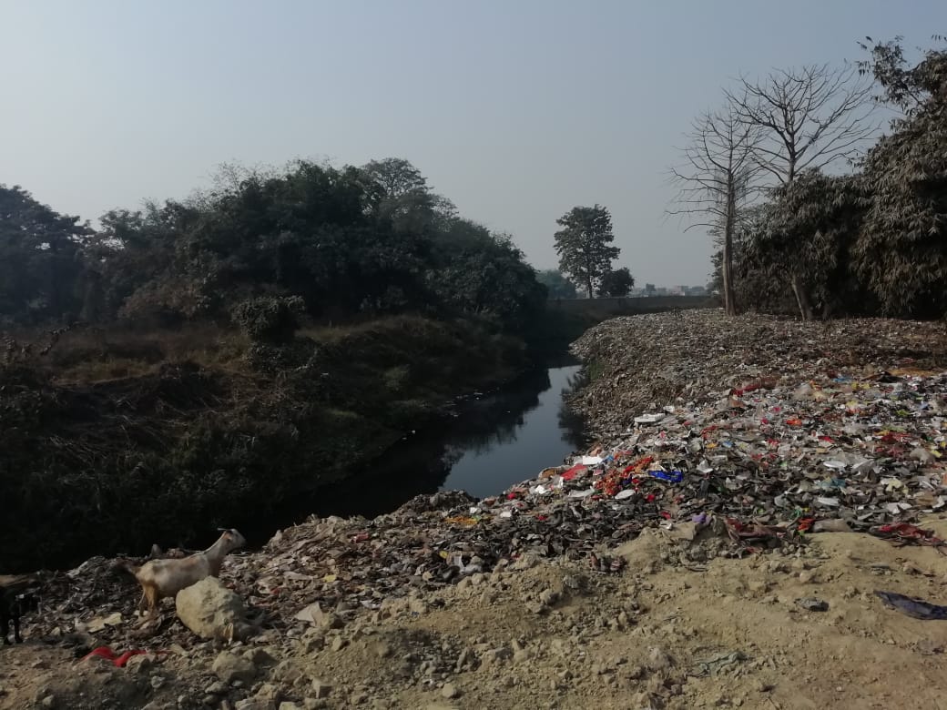 सरिसवा नदी प्रदूषण मामले में केंद्रीय प्रदूषण नियंत्रण बोर्ड के द्वारा जाँच के आदेश