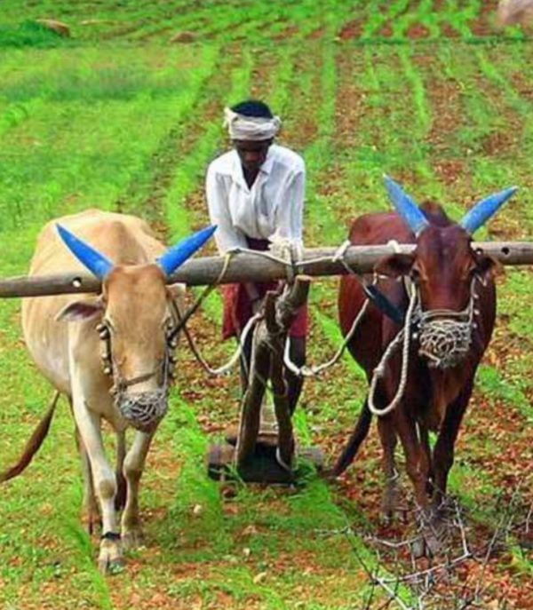 किसानों को मिलेगा लाभ प्रधानमंत्री मान धन योजना से, रक्सौल प्रखंड में अब तक छह हजार पंजीकरण