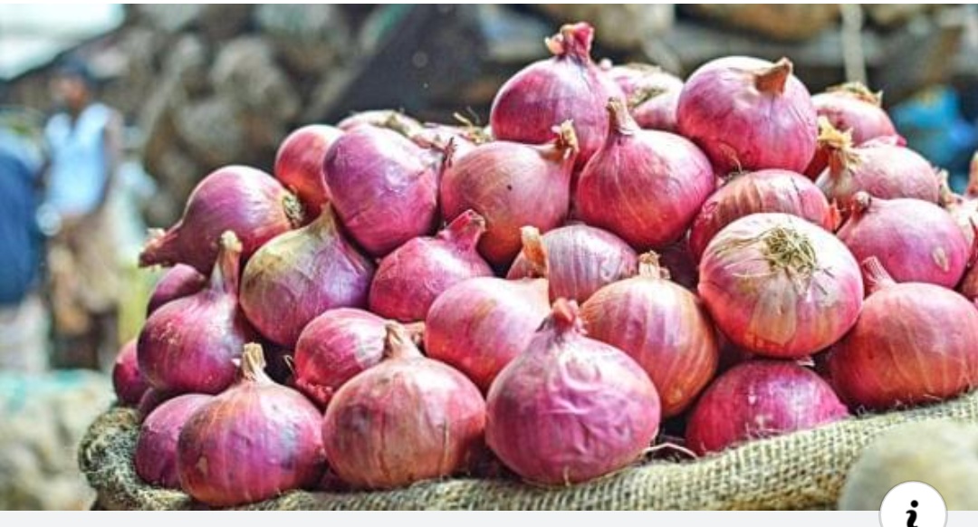 भारत सरकार ने लगाया नेपाल में प्याज निर्यात पर रोक,नेपाली बाजार में प्याज का भाव आसमान पर!