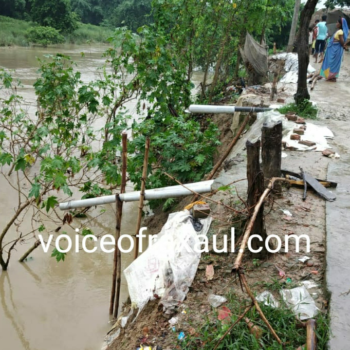 नदियों के कटाव के कारण हरदिया गावँ पर खतरा,कटाव निरोधी कार्य मे जुटे संवेदक का अता पता नहीं!