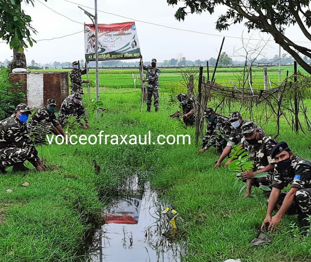 एसएसबी 47 वीं बटालियन द्वारा स्वच्छता पखवाड़ा आयोजित,चलाया गया सफाई अभियान,किया गया वृक्षारोपण!