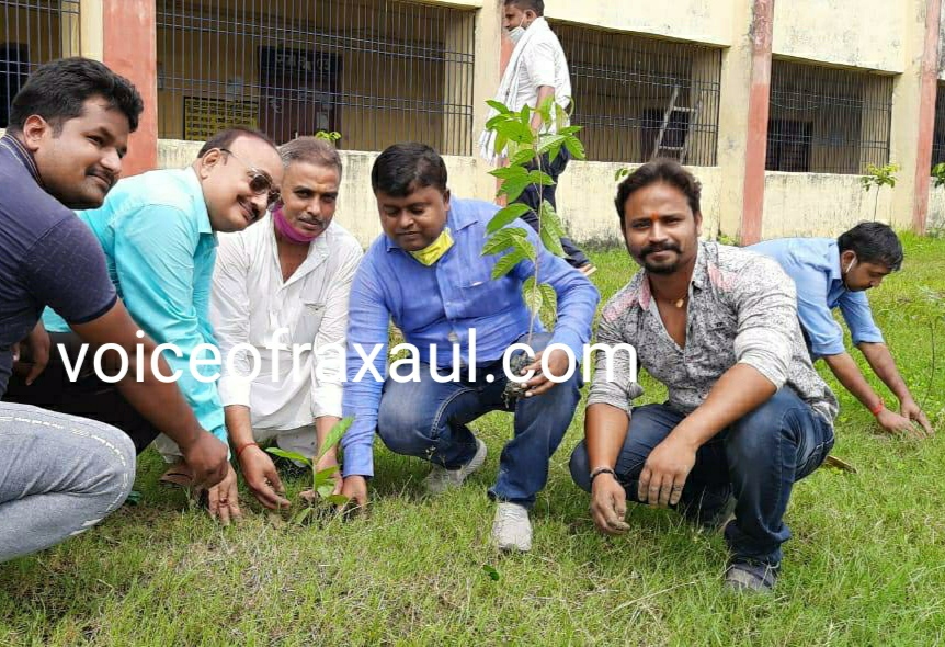 पीएम नरेंद्र मोदी के जन्मदिन पर भाजयुमो द्वारा वृक्षारोपण कार्यक्रम आयोजित