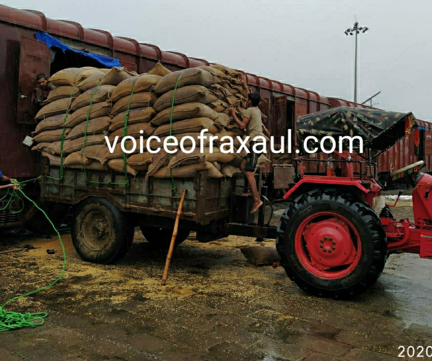 भींग कर बर्बाद हो रहा एफसीआई का टनों अनाज,रक्सौल रेलवे माल गोदाम से ढुलाई कर भींगे गेहूं के बोरियों का गोदाम में हो रहा भंडारण!