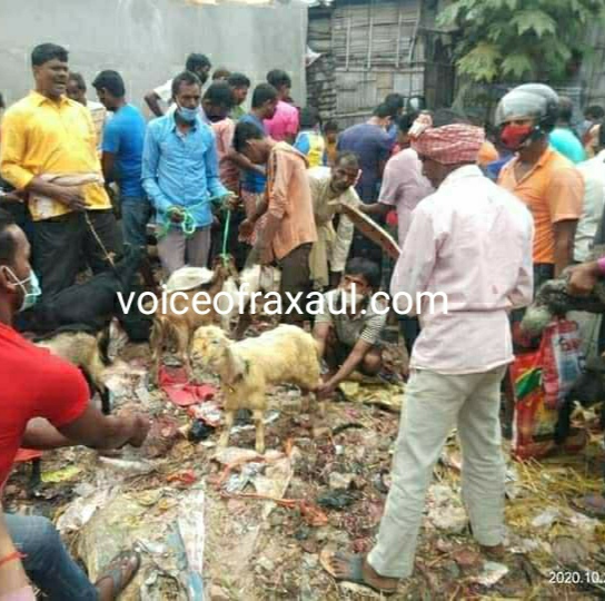 सड़क पर भरी गई खोइन्छ,रोक के बावजूद गहवा माई मन्दिर क्षेत्र में चढ़ाई गई हज़ारों पशु-पक्षियों की बली!