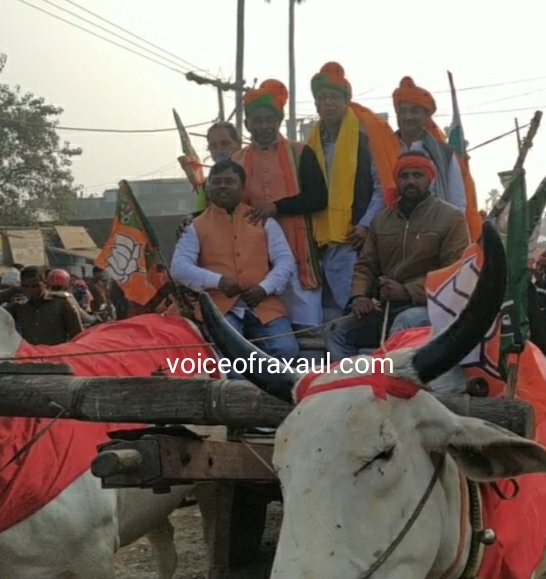 कृषि कानून के समर्थन में बैलगाड़ी पर सवार हो कर बीजेपी प्रदेश अध्यक्ष डॉ0 संजय व विधायक प्रमोद सिन्हा ने किया रोड शो!