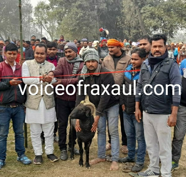 रक्सौल के भलुवाहां में मकर सक्रान्ति पर मेला का आयोजन,भेड़ की लड़ाई देखने उमड़े लोग!