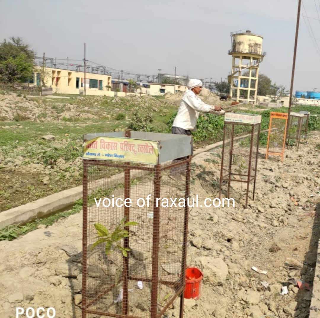 विश्व वानिकी दिवस पर भारत विकास परिषद ने रेलवे पार्क में लगाये एरिका पाम के 11 पौधे,सेल्फी प्वाइंट का भी लिया गया जायजा!