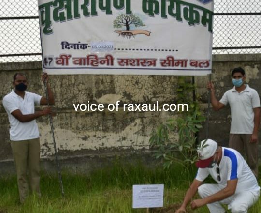 विश्व पर्यावरण दिवस पर एसएसबी कमांडेंट प्रियवर्त  शर्मा के नेतृत्व में लगाए गए 33सौ पौधे,नर्सरी तैयार करने का संकल्प