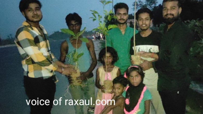 ‘कलमकारी’ से जुड़े युवाओं ने किया वृक्षारोपण,पर्यावरण संरक्षण के लिए आगे आने की अपील!