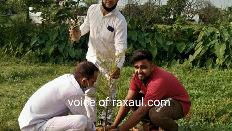 विश्व पर्यावरण दिवस पर एसडीओ आरती व डीएसपी सागर झा ने किया वृक्षारोपण