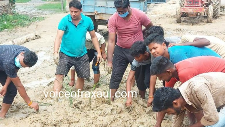 रामगढ़वा के भलुवहिया में नाराज ग्रामीणों ने जताया विरोध , ग्रामीणों ने की सड़क पर धनरोपनी