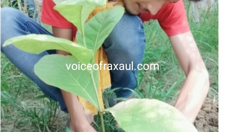 इंडियन लाइफ वे फाउंडेशन के द्वारा सुभाष चंद्रबोस जयंती पे किया जायेगा पौधारोपण