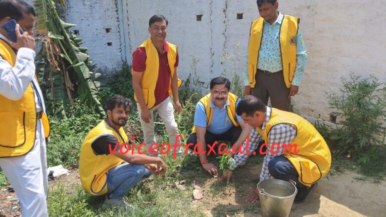 विश्व पर्यावरण दिवस पर लायंस क्लब ऑफ रक्सौल ने किया वृक्षारोपण