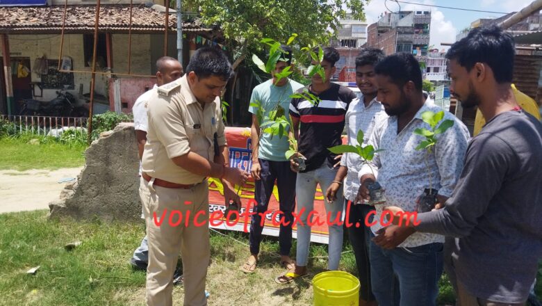 अखिल भारतीय विद्यार्थी परिषद द्वारा75वें स्थापना दिवस पर वृक्षारोपण