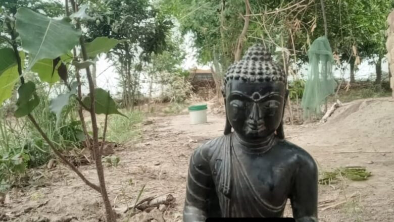 रक्सौल:खेत से मिली प्राचीन व दुर्लभ बुद्ध प्रतिमा,देखने की लगी होड!
