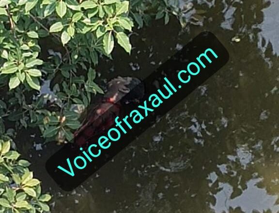 रक्सौल : पोखरी से अज्ञात युवक का शव बरामद,पुलिस ने शुरू की जांच!
