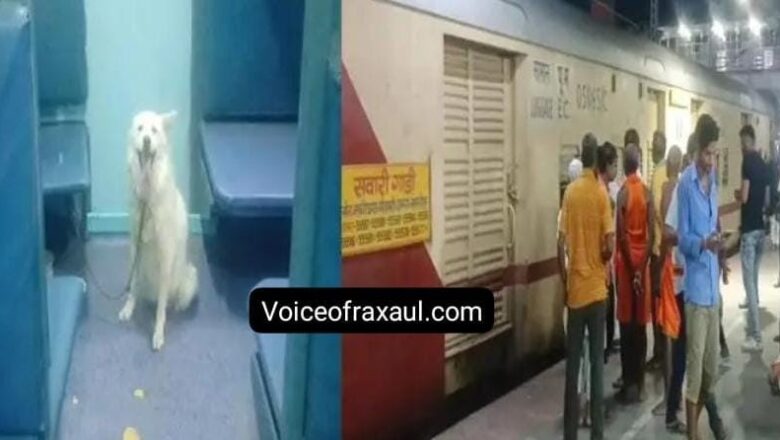 रक्सौल स्टेशन पर कुत्ते का आतंक:ट्रेन की बोगी हुई सील ,रेस्क्यू के बाद एनिमल वेलफेयर बोर्ड को किया गया सुपुर्द!