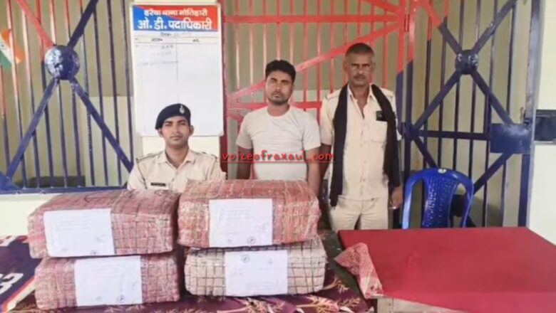 हरैया पुलिस ने 42.155 किलो गांजा के साथ एक तस्कर को किया गिरफ्तार