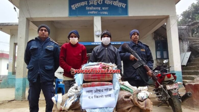 नेपाल सीमा पर सुरक्षा बलों का कड़ा पहरा: दो अलग-अलग कार्रवाइयों में भारी मात्रा में गांजे के साथ भारतीय नागरिकों सहित चार तस्कर गिरफ्तार