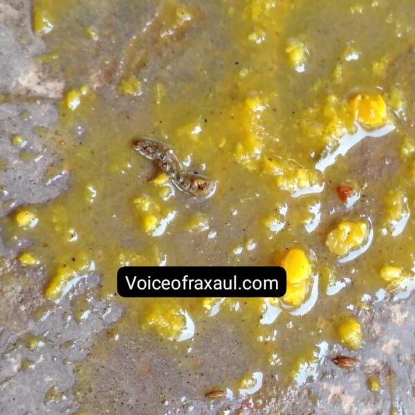 रक्सौल: मध्याह्न भोजन की थाली में मिला कीड़ा, एनजीओ की लापरवाही ने बच्चों को किया भूखा रहने पर मजबूर