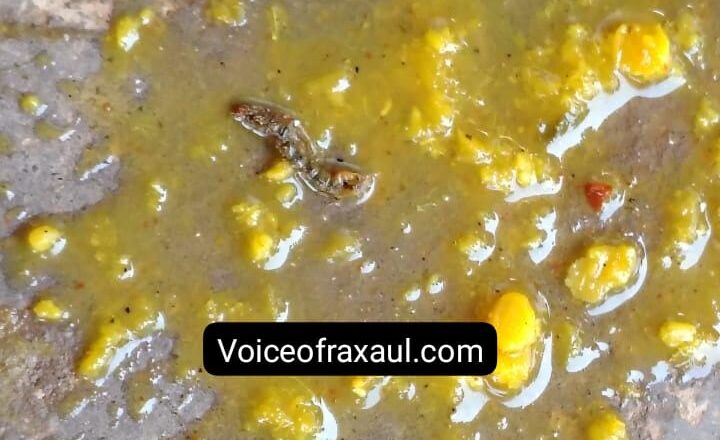 रक्सौल: मध्याह्न भोजन की थाली में मिला कीड़ा, एनजीओ की लापरवाही ने बच्चों को किया भूखा रहने पर मजबूर