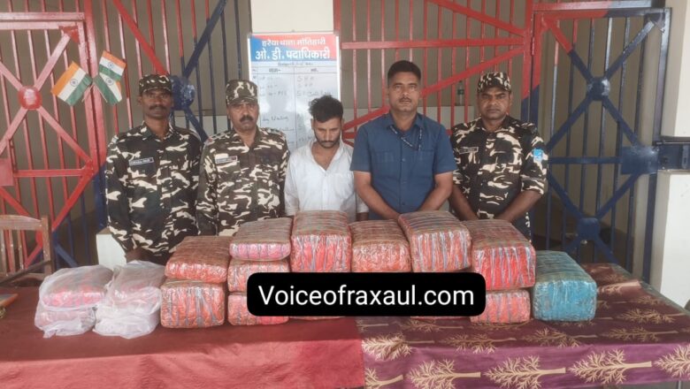 इंडो-नेपाल सीमा पर नशा तस्करों के खिलाफ बड़ी स्ट्राइक: रक्सौल में 99 किलो गांजे के साथ तस्कर गिरफ्तार
