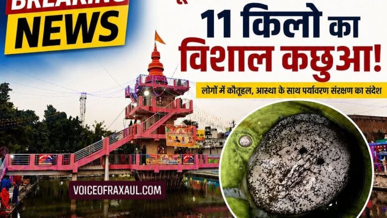 सूर्य मंदिर तालाब में मिला 11 किलो का विशाल कछुआ, रक्सौल में आस्था और पर्यावरण संरक्षण पर छिड़ी नई चर्चा