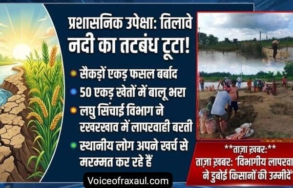 तिलावे नदी का तटबंध टूटा, सैकड़ों एकड़ धान की फसल बर्बाद
