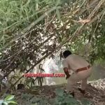 नेपाल की तबाही की मार:रसुवा त्रासदी के बाद रक्सौल  के मरलहिया नदी में तैरता मिला अज्ञात शव,जांच के बाद ही खुलेगा राज की शव आपदा पीड़ित का या दूसरा मामला!