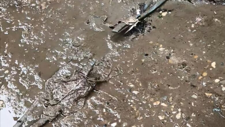नल-जल की अनदेखी से नाराज राजद नेता पहुंचे लोक शिकायत निवारण केंद्र: रक्सौल नप प्रशासन पर लापरवाही का आरोप